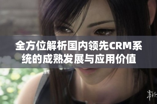全方位解析国内领先CRM系统的成熟发展与应用价值