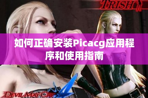 如何正确安装Picacg应用程序和使用指南