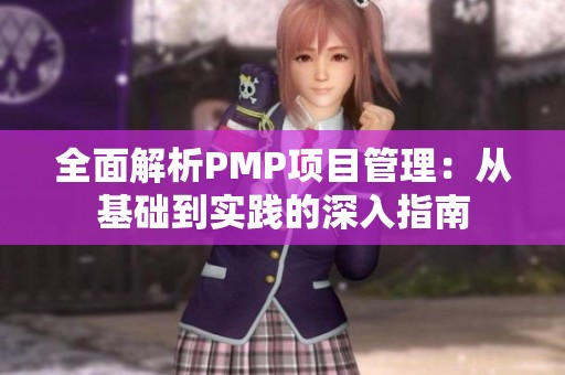 全面解析PMP项目管理：从基础到实践的深入指南