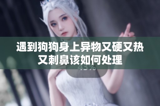遇到狗狗身上异物又硬又热又刺鼻该如何处理
