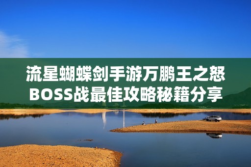 流星蝴蝶剑手游万鹏王之怒BOSS战最佳攻略秘籍分享