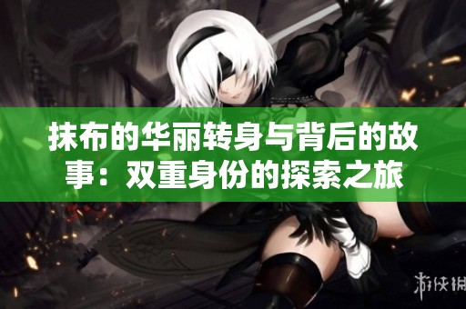 抹布的华丽转身与背后的故事：双重身份的探索之旅