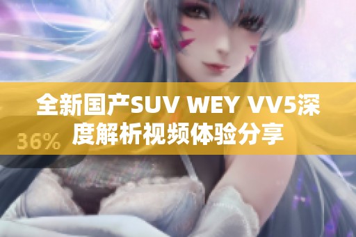全新国产SUV WEY VV5深度解析视频体验分享