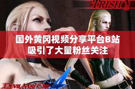 国外黄冈视频分享平台B站吸引了大量粉丝关注