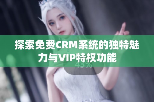 探索免费CRM系统的独特魅力与VIP特权功能