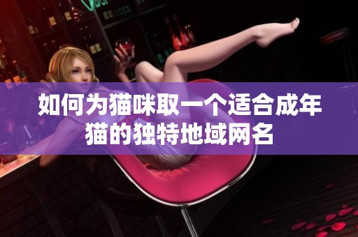 如何为猫咪取一个适合成年猫的独特地域网名