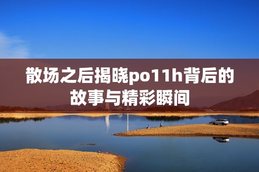 散场之后揭晓po11h背后的故事与精彩瞬间