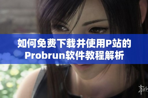 如何免费下载并使用P站的Probrun软件教程解析