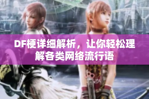 DF梗详细解析，让你轻松理解各类网络流行语