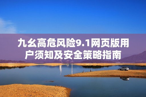 九幺高危风险9.1网页版用户须知及安全策略指南