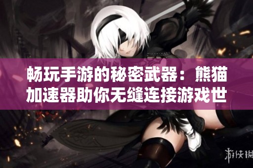 畅玩手游的秘密武器：熊猫加速器助你无缝连接游戏世界