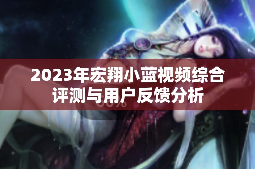 2023年宏翔小蓝视频综合评测与用户反馈分析