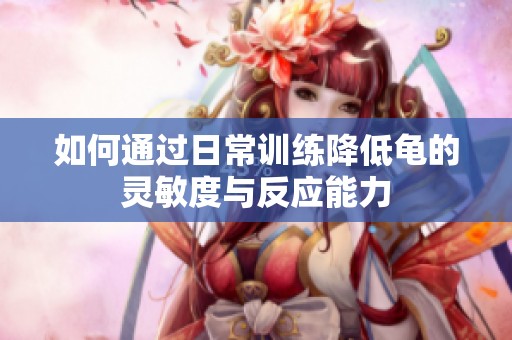 如何通过日常训练降低龟的灵敏度与反应能力