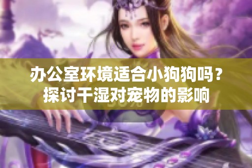 办公室环境适合小狗狗吗？探讨干湿对宠物的影响