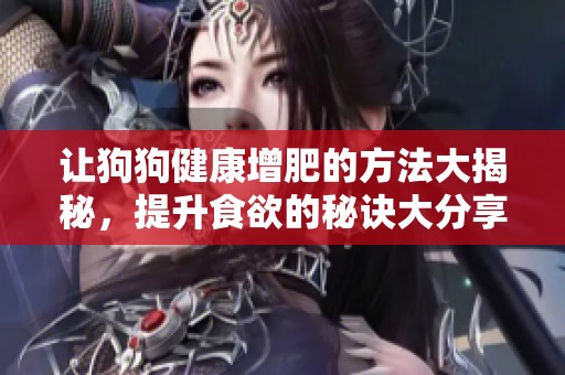 让狗狗健康增肥的方法大揭秘，提升食欲的秘诀大分享