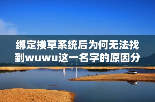 绑定挨草系统后为何无法找到wuwu这一名字的原因分析