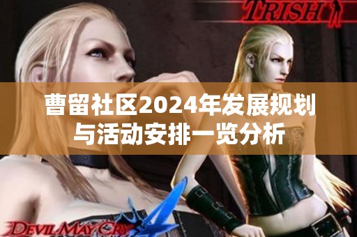 曹留社区2024年发展规划与活动安排一览分析