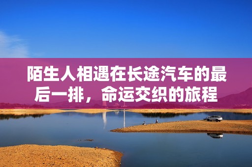 陌生人相遇在长途汽车的最后一排，命运交织的旅程