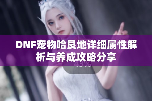 DNF宠物哈艮地详细属性解析与养成攻略分享