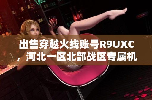 出售穿越火线账号R9UXC，河北一区北部战区专属机会！