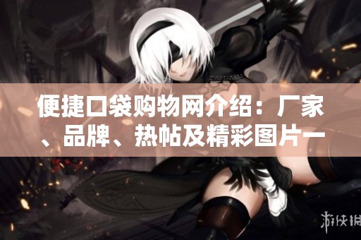 便捷口袋购物网介绍：厂家、品牌、热帖及精彩图片一站式服务
