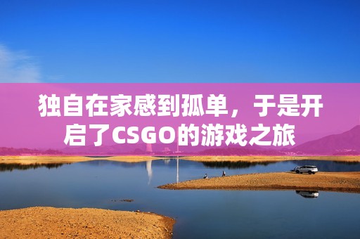 独自在家感到孤单，于是开启了CSGO的游戏之旅