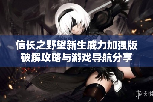 信长之野望新生威力加强版破解攻略与游戏导航分享