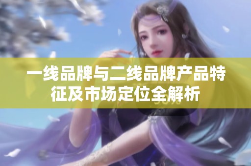 一线品牌与二线品牌产品特征及市场定位全解析