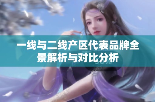 一线与二线产区代表品牌全景解析与对比分析
