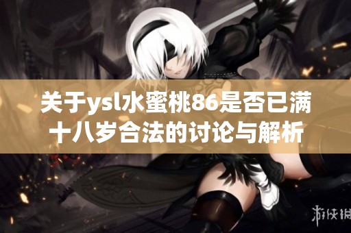 关于ysl水蜜桃86是否已满十八岁合法的讨论与解析