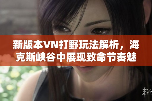 新版本VN打野玩法解析，海克斯峡谷中展现致命节奏魅力