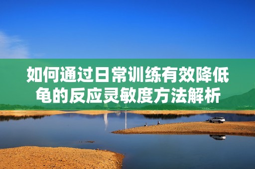 如何通过日常训练有效降低龟的反应灵敏度方法解析