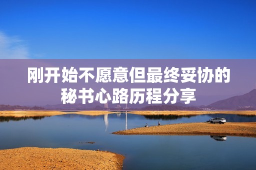刚开始不愿意但最终妥协的秘书心路历程分享