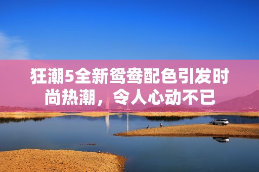 狂潮5全新鸳鸯配色引发时尚热潮，令人心动不已