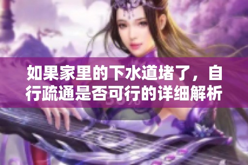 如果家里的下水道堵了，自行疏通是否可行的详细解析