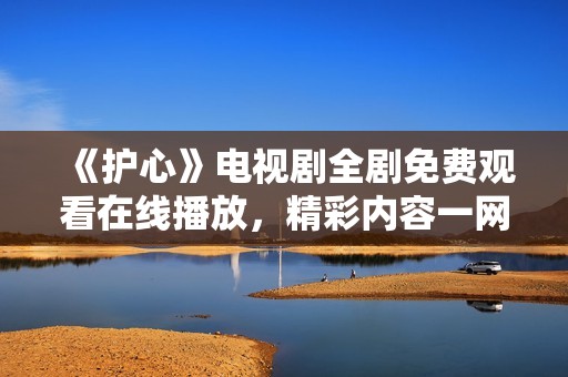 《护心》电视剧全剧免费观看在线播放，精彩内容一网打尽