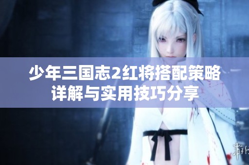 少年三国志2红将搭配策略详解与实用技巧分享