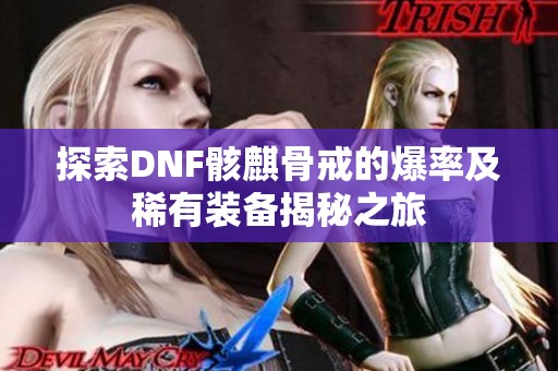 探索DNF骸麒骨戒的爆率及稀有装备揭秘之旅