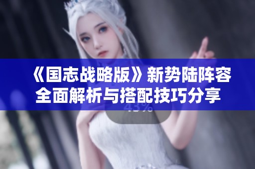 《国志战略版》新势陆阵容全面解析与搭配技巧分享