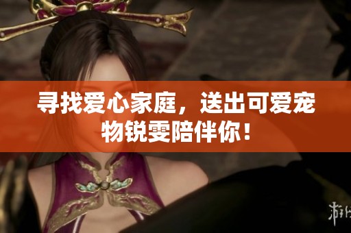 寻找爱心家庭，送出可爱宠物锐雯陪伴你！