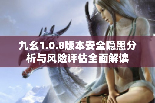 九幺1.0.8版本安全隐患分析与风险评估全面解读