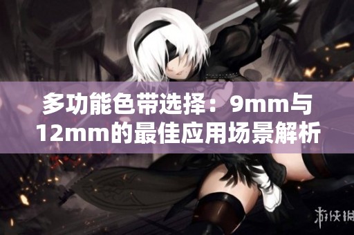 多功能色带选择：9mm与12mm的最佳应用场景解析