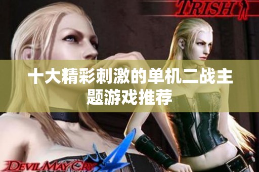 十大精彩刺激的单机二战主题游戏推荐
