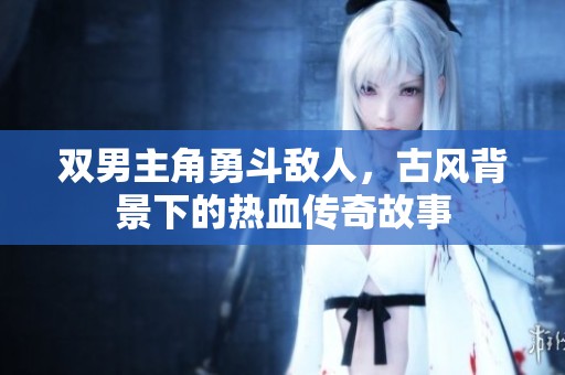双男主角勇斗敌人，古风背景下的热血传奇故事