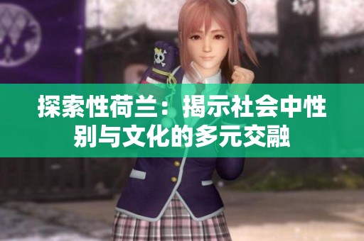 探索性荷兰：揭示社会中性别与文化的多元交融