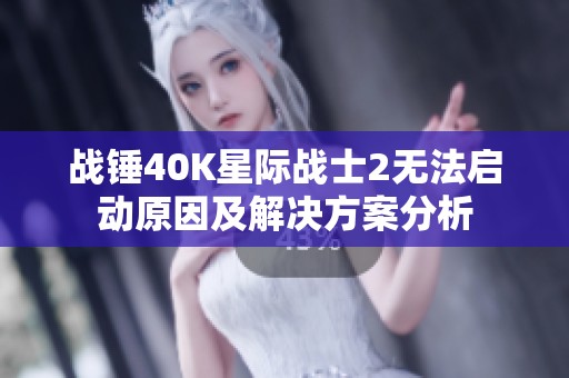 战锤40K星际战士2无法启动原因及解决方案分析