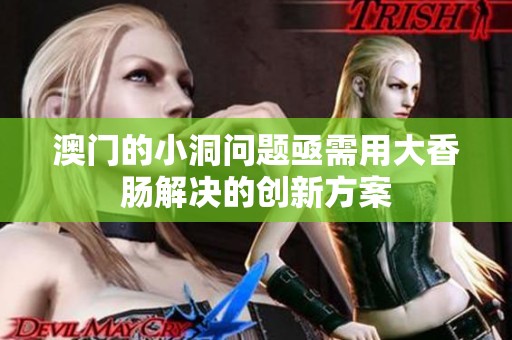 澳门的小洞问题亟需用大香肠解决的创新方案