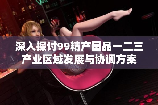 深入探讨99精产国品一二三产业区域发展与协调方案