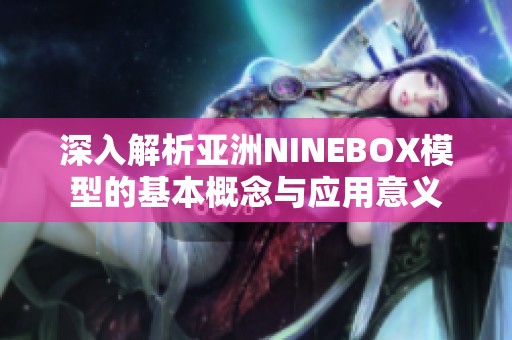 深入解析亚洲NINEBOX模型的基本概念与应用意义