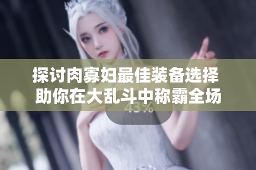 探讨肉寡妇最佳装备选择 助你在大乱斗中称霸全场